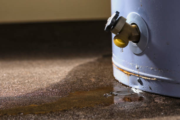 Best Water damage restoration company  in Arp, TX