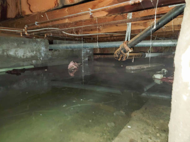 Sewage cleanup and water damage restoration in TX