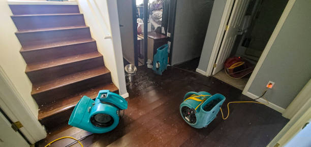 Best 24/7 water damage repair  in Arp, TX