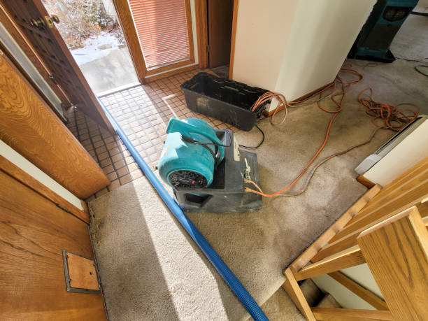 Best Flooded house restoration  in Arp, TX