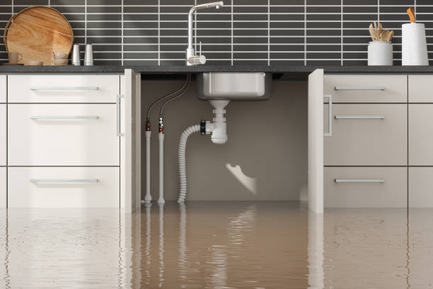Best 24-hour water damage restoration  in Arp, TX