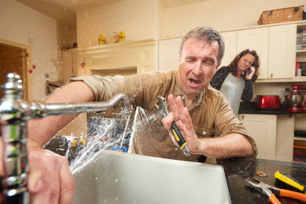 Best Flood damage cleanup  in Arp, TX